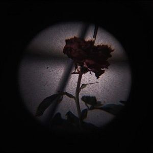 Meet your Posher, Eli